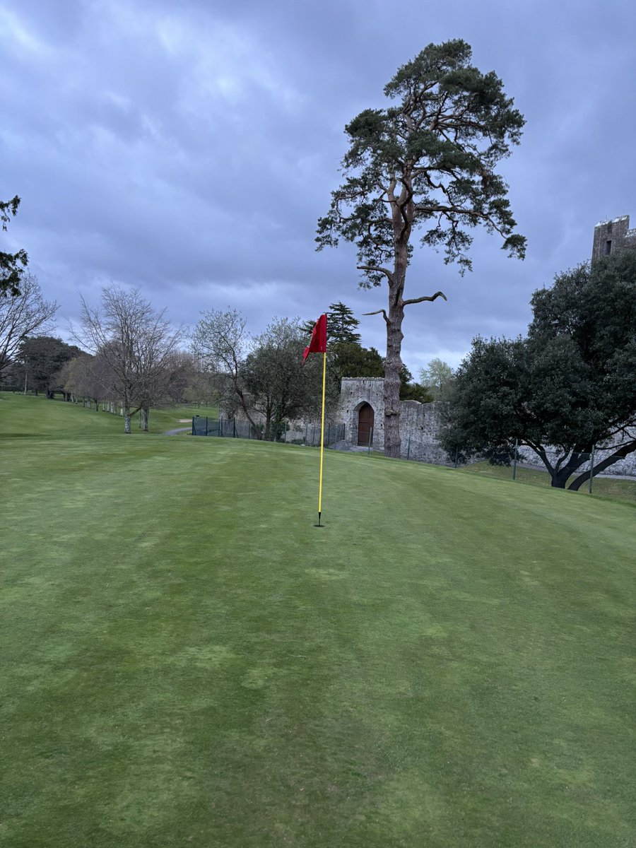 Brian dunne tweet media