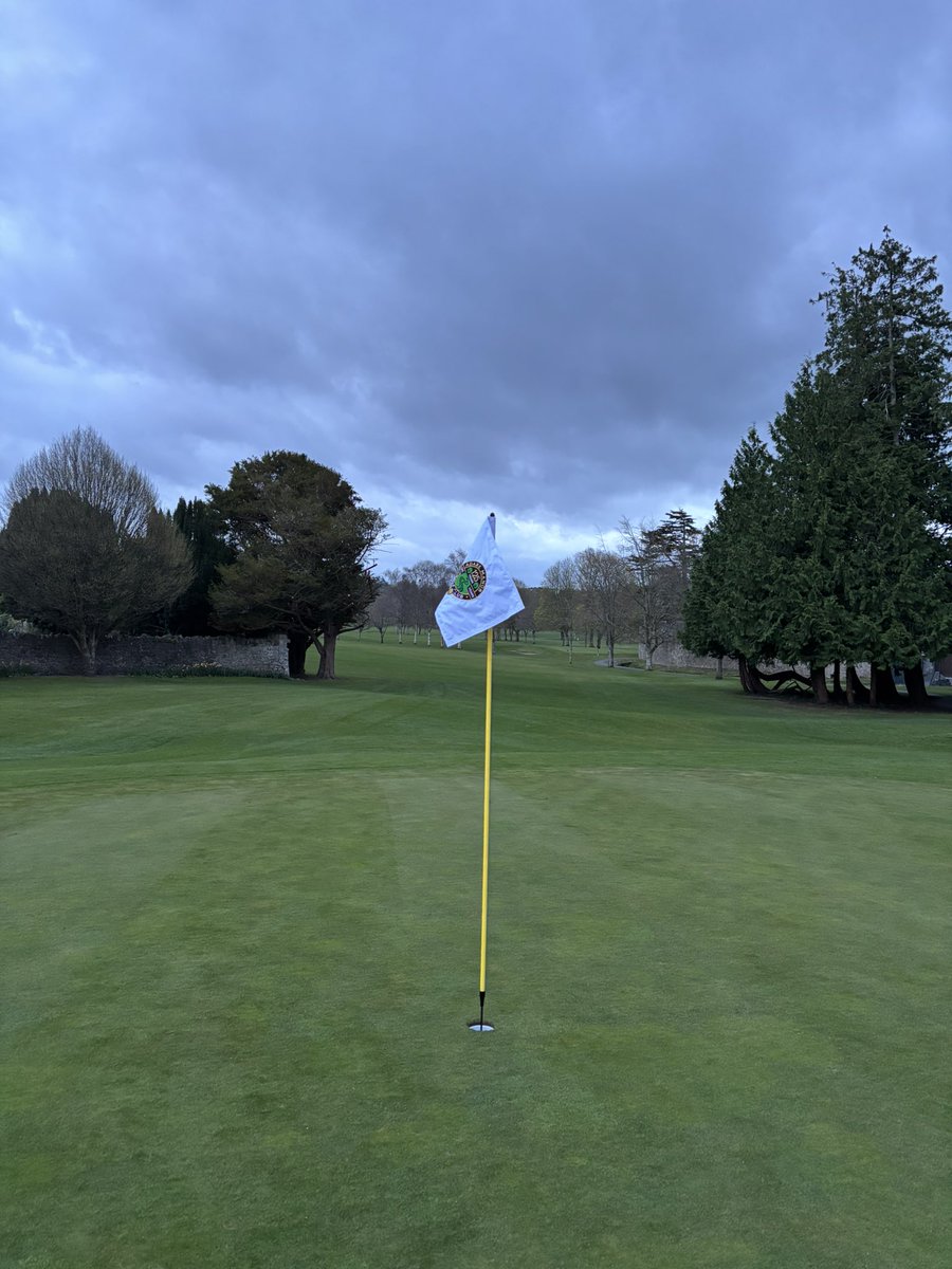 Brian dunne tweet media