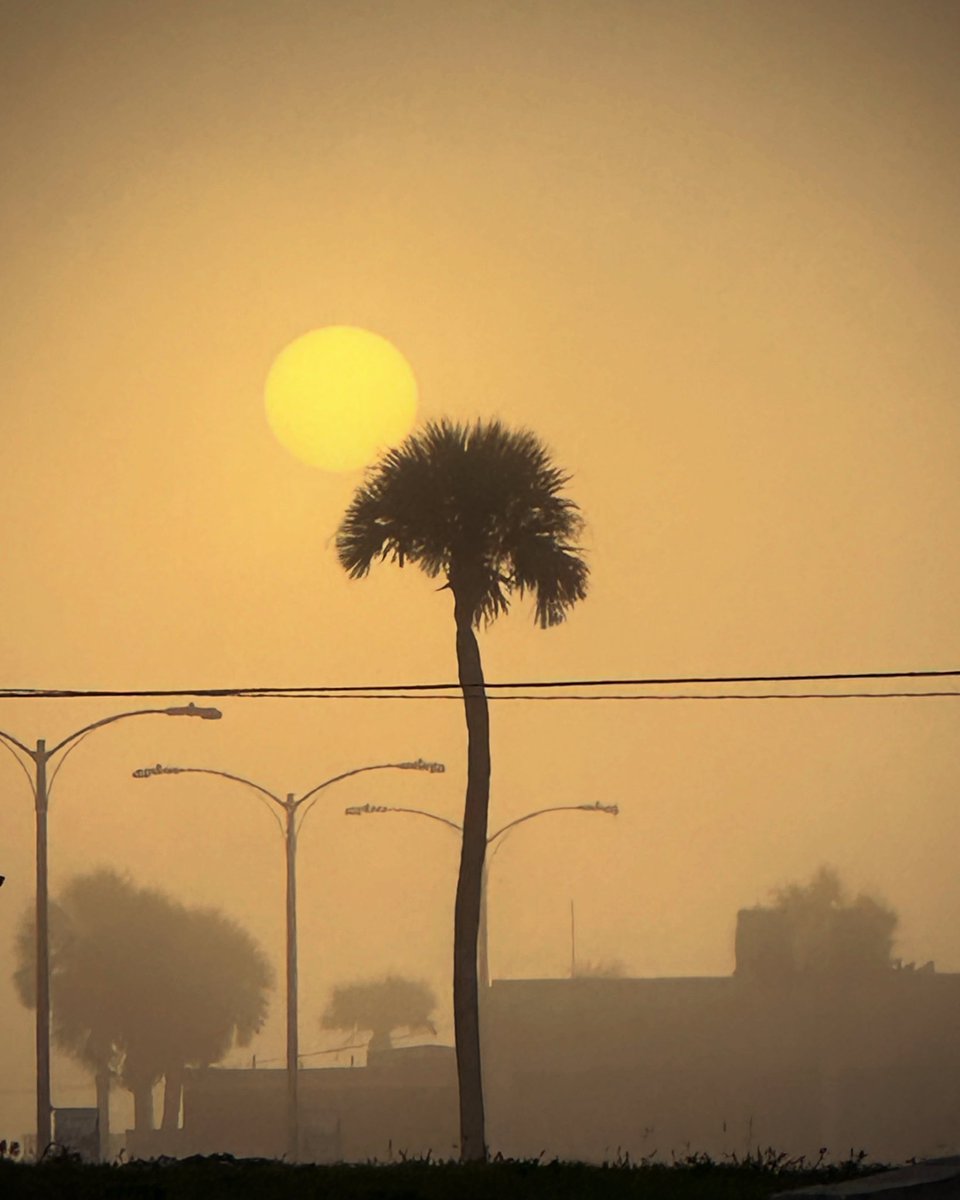 NS_Mayport's tweet image. ๐ถโ๐ซ๏ธFoggy Friday at Mayport!
#Mayport #jacksonvilleflorida #NavyLife #foggyday