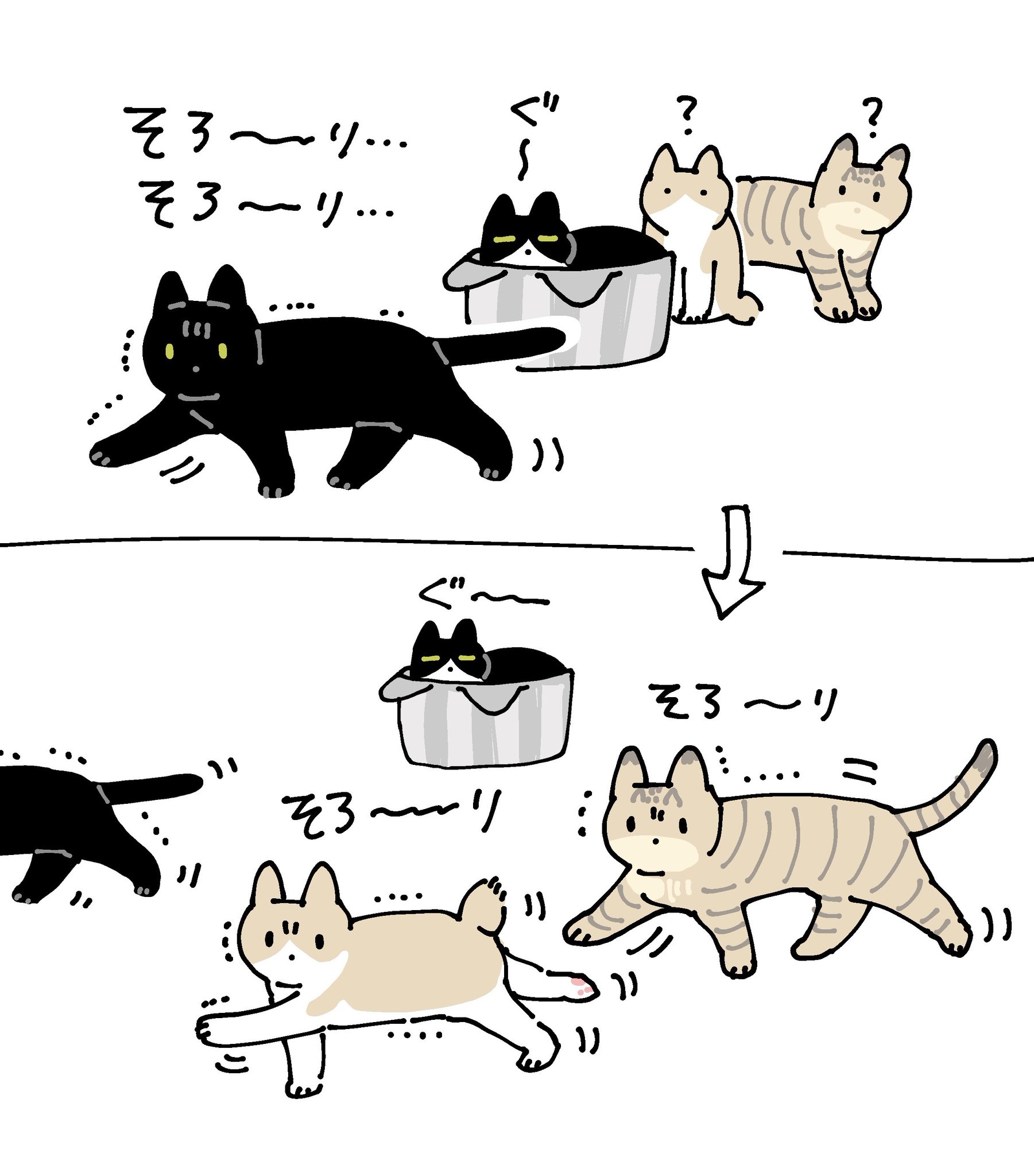 ねこ Amazon | Dooradar 猫 ハーネス リードセット 7-11kg 小型犬