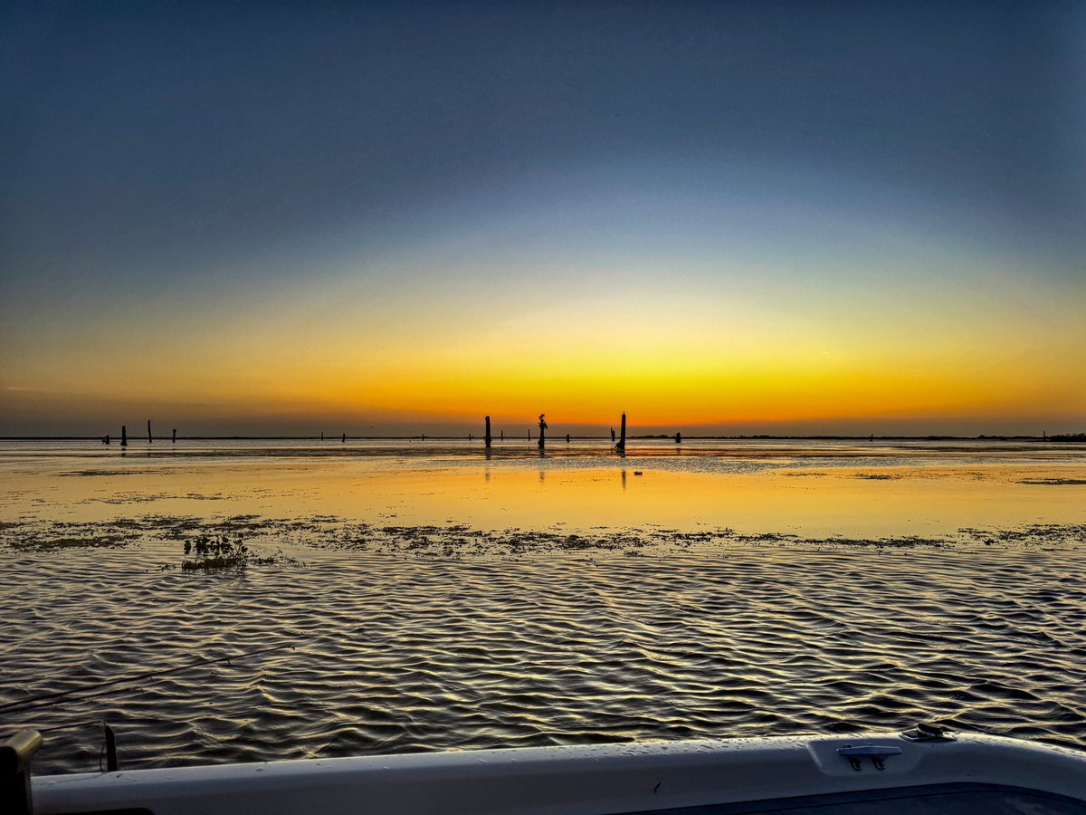 JB Bassmaster tweet media