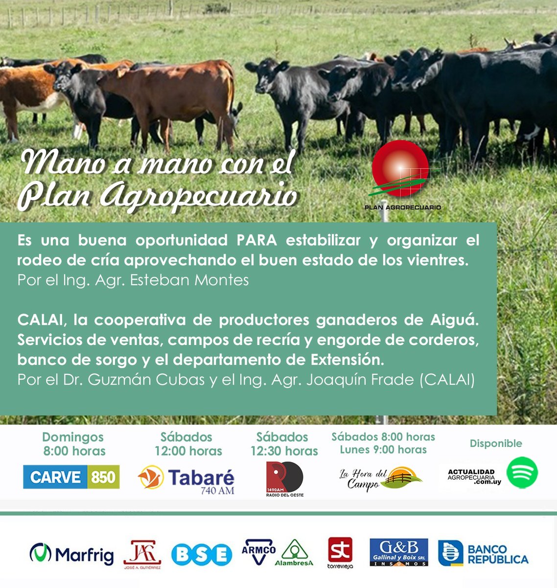 PlanAgro's tweet photo. 📻 Mano a Mano con el Plan
✔️Rodeo de cría #estabilizar #organizar aprovechando el buen estado de los vientres
🎙️@Esteban99809584
✔️Cooperativa CALAI #ProductoresGanaderos de Aiguá
#ventas #CamposDeRecría #engorde #corderos...
🎙️Dr. Cubas e Ing. Frade @CALAI1965
¡Te esperamos! https://t.co/UDw1sZIjrH
