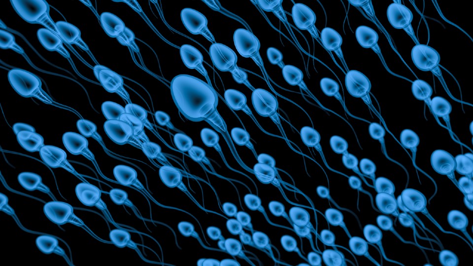 Loughborough University (@lborouniversity) on Twitter photo Scientists from Loughborough University and <a href="/iiscbangalore/">IISc Bangalore</a> have revealed how 'microswimmers' move faster in groups 🔬
This research could accelerate the development of microscopic robots, which could be used in a variety of medical applications.
Read ➡️ lboro.uk/4jgOufQ Scientists from Loughborough University and <a href="/iiscbangalore/">IISc Bangalore</a> have revealed how 'microswimmers' move faster in groups 🔬
This research could accelerate the development of microscopic robots, which could be used in a variety of medical applications.
Read ➡️ lboro.uk/4jgOufQ