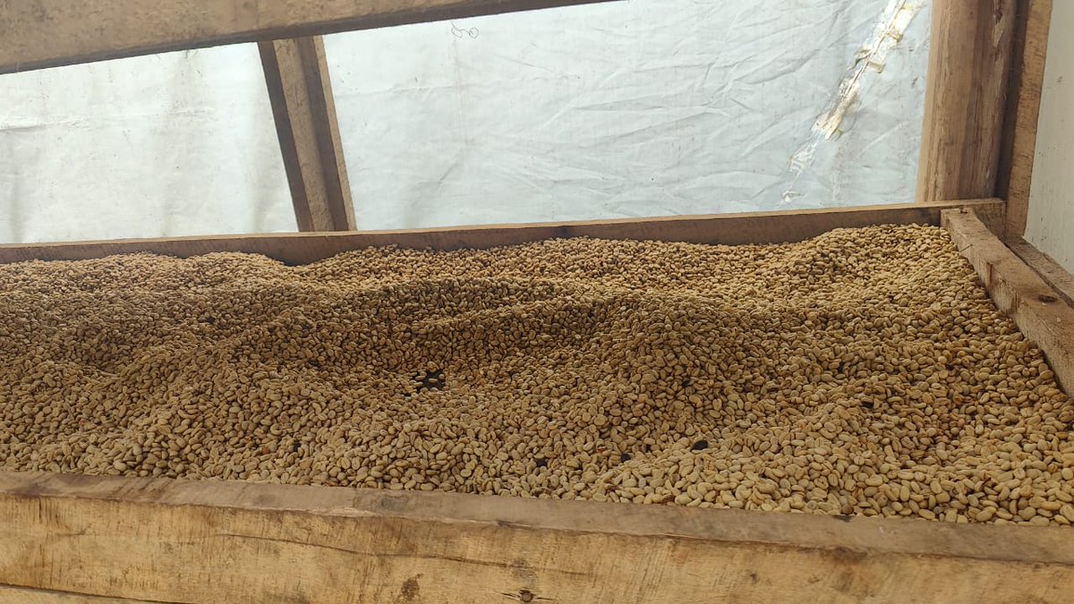 The season is not bad at all.