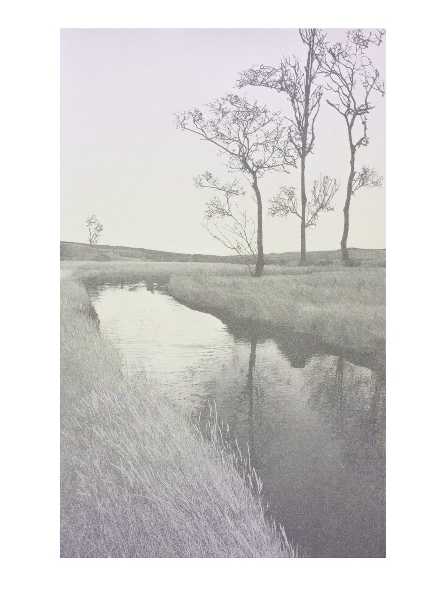 Some pink for Sakura season 🌸

A soft, muted colour palette to help create a serene atmosphere, with the mood from the subdued colours creating an ambient light, the dawn sky reflects on the surrounding landscape and curve of the river. River by Dawn (after Koho Shoda)