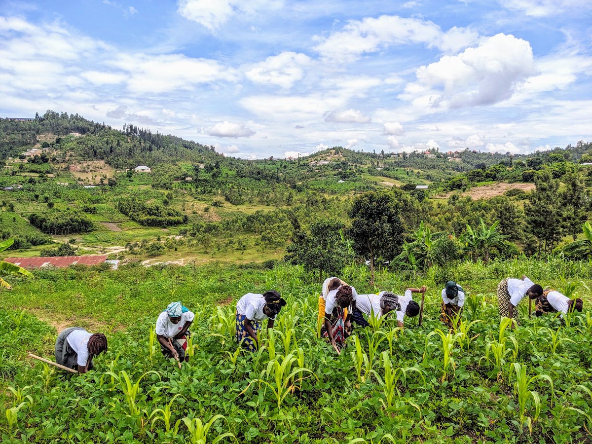 Zoe Foundation Rwanda tweet media