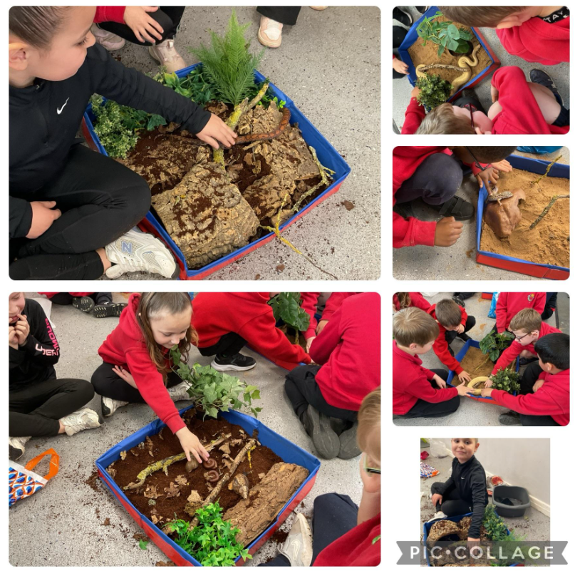 #EastersideYear1and2 have been visited by Amanda's Creature Comforts as part of their science work. The children were learning about suitable habitats before creating a variety of habitats for real animals. #EastersideScience