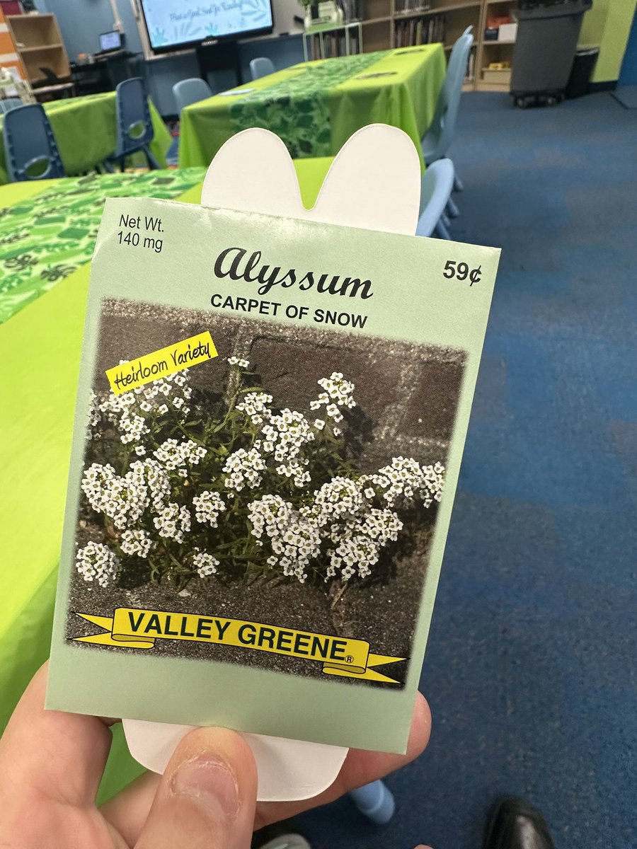 Guy Barmoha tweet media