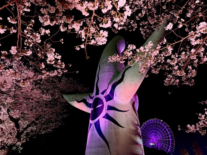 夜桜品 万博記念公園【公式】 on X: 