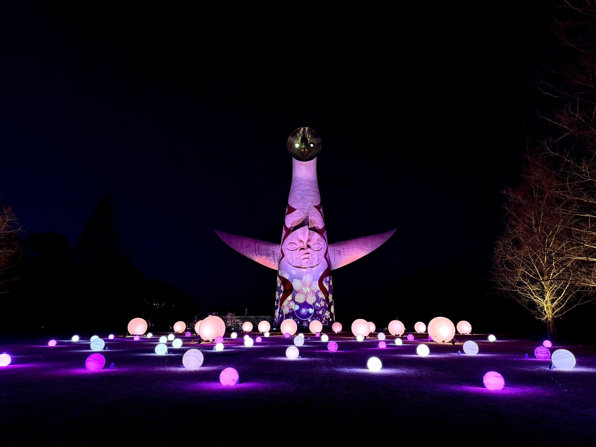 万博記念公園【公式】 on X: 