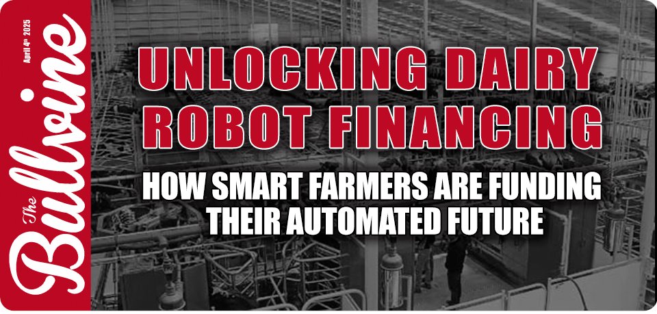 TheBullvine's tweet image. 🔥 Losing $500/day by delaying robots?
Savvy dairy farms are using 0% financing &amp;amp; pay-per-liter deals to fund automation - cutting labor 28% while boosting milk yields 9%.  bit.ly/3DUkozP 

#DairyAutomation #FarmFinancing #RobotROI