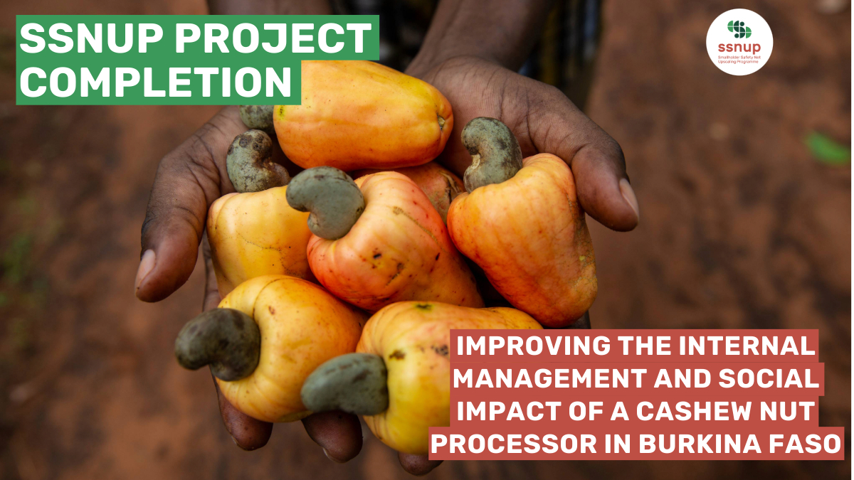 The ADA-coordinated Smallholder Safety Net Upscaling Programme (#SSNUP) co-funded projects by responsAbility and Incofin to strengthen the internal management and increase the social impact of @anatranssa, a cashew nut processor in Burkina Faso 👉 swll.to/cashew