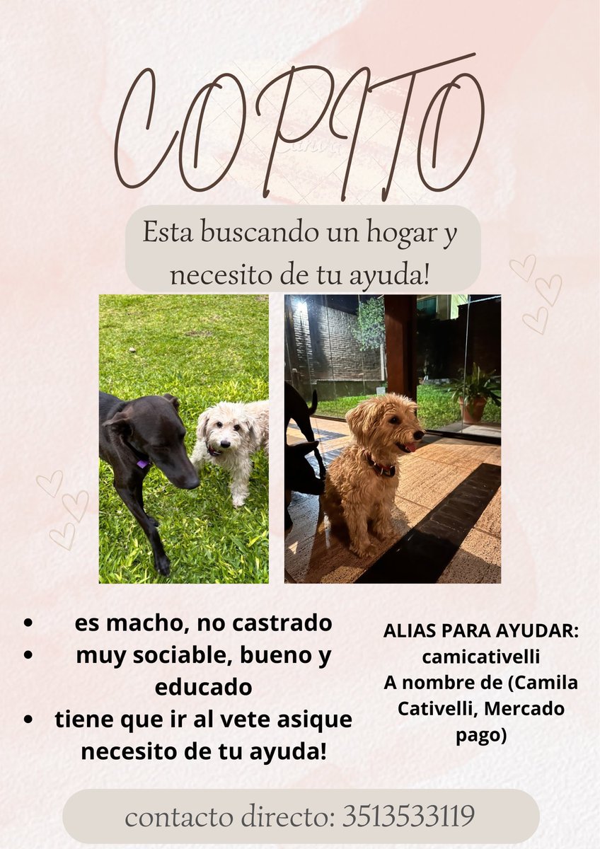 camicatt (@camicativelli) on Twitter photo 