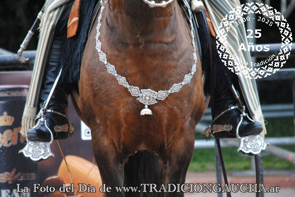 tradiciongaucha's tweet photo. 📸 #FotoDelDía #Pretal #Tradición 
https://t.co/JAtNwCT7Na https://t.co/nYx8Bb2g2p