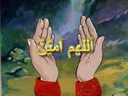 جنوبي حر اليافعي 3 tweet media