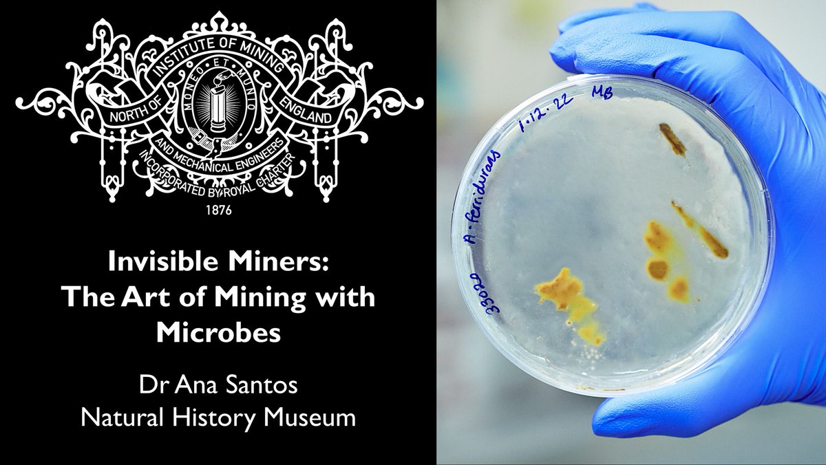 Mining Institute (@mininginstitute) on Twitter photo Our free #NEIMME Lecture on the 10th of April is given by Dr Ana Santos of <a href="/NHM_London/">Natural History Museum</a> on bioleaching valuable metals like #Cu, #Au, and #CriticalMetals from ores and waste materials, plus their role in remediation of industrial sites.
To join us see 👉eventbrite.co.uk/e/invisible-mi… Our free #NEIMME Lecture on the 10th of April is given by Dr Ana Santos of <a href="/NHM_London/">Natural History Museum</a> on bioleaching valuable metals like #Cu, #Au, and #CriticalMetals from ores and waste materials, plus their role in remediation of industrial sites.
To join us see 👉eventbrite.co.uk/e/invisible-mi…