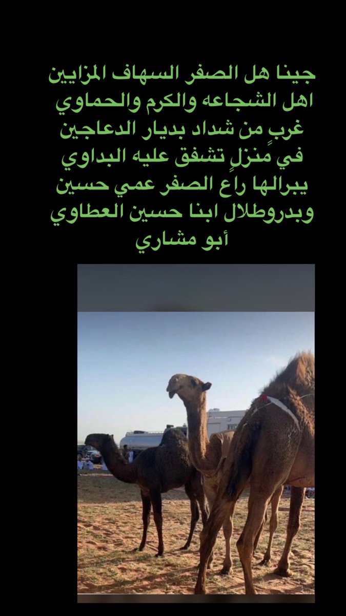 ‏﮼ضيف‌الله‌قزعان (@daefalotebi1) on Twitter photo 