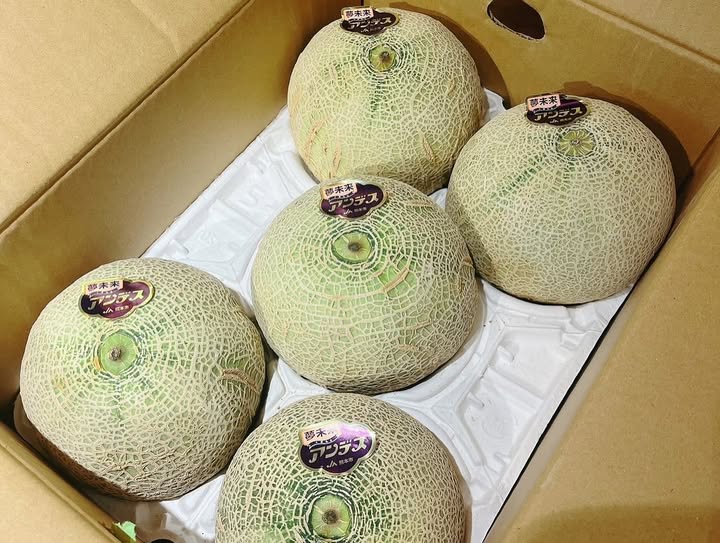 Nub_machida's tweet photo. 🍈🍈🍈🍈🍈🍈
4/5(土)の手作りデザート
🍈🍈🍈🍈🍈🍈

☆熊本県産アンデスメロン🍈使用‼
　メロン100%濃厚なジュース‼
　・『メロンジュース🥤』
　・『メロンシャーベット🍨』

『ブルーベリー入り苺のチーズケーキ🍰』

こちらもオススメです💁

#メロン
#チーズケーキ
#デザート https://t.co/JW6kGBwgcI