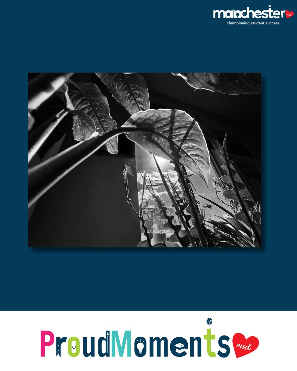 Manchester Proud tweet media