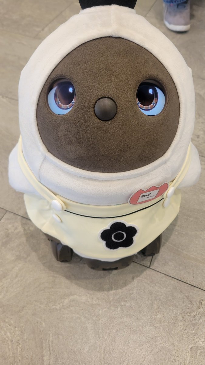 車検でホンダさんに行ったらめちゃ懐かれるて😂
可愛い過ぎるんですがｗ😍名前はセイちゃんらしい♬
まさかの癒しを頂いてしまった😂🥰
ではまたです🎵
#LOVOT