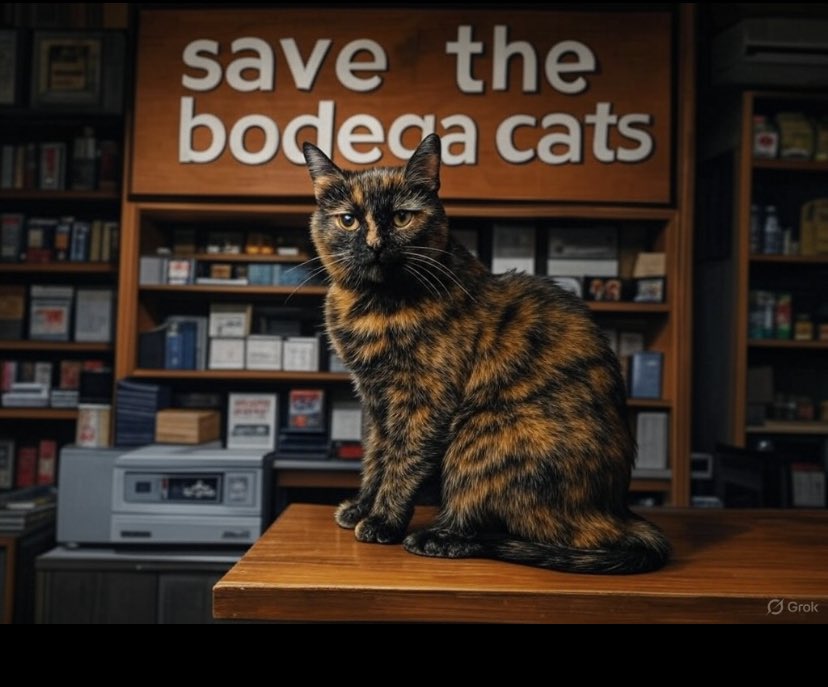 JosephPallotta's tweet photo. Here is groks contribution to the #bodegacat situation🐈⬛ https://t.co/CphEVR8XLl