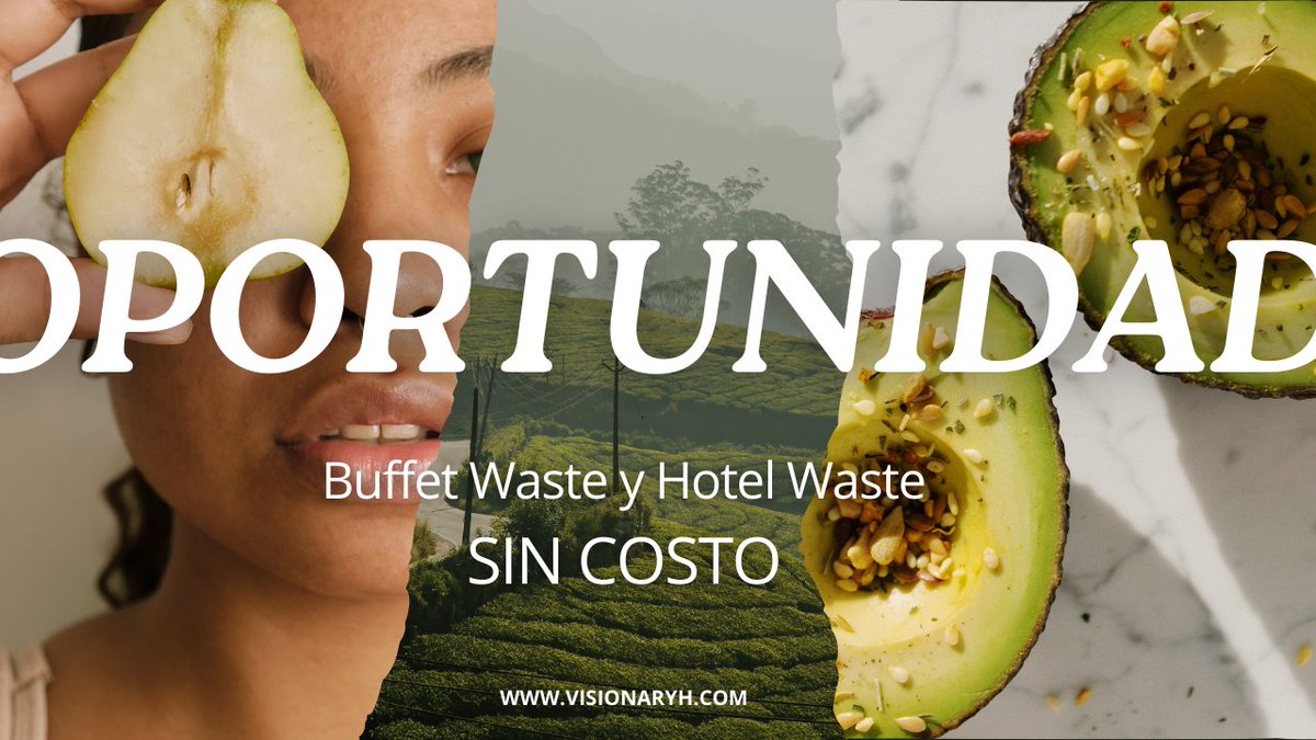 InfoVisionaryh's tweet photo. 🤖Instala Buffet Waste y Hotel Waste sin costo. Reduce el desperdicio alimentario, aumenta tu rentabilidad y mejora la sostenibilidad en tu hotel. 

🔗Click ahora y consigue esta oferta por tiempo limitado https://t.co/PA3dpbUiY3  

#Sostenibilidad #Innovación #IA https://t.co/ri2Fq3fPd6