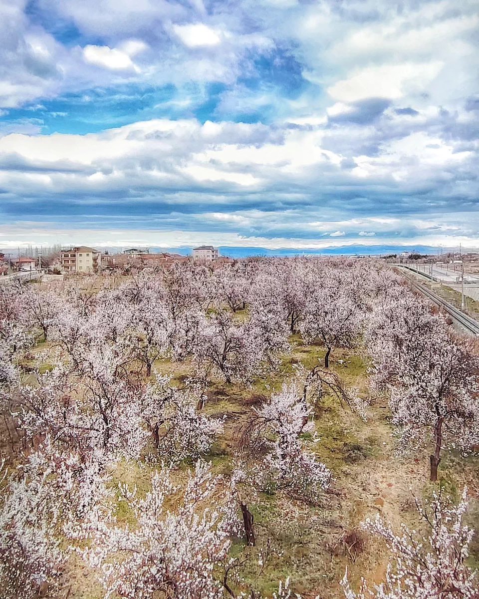 Sinan Akıncı tweet media