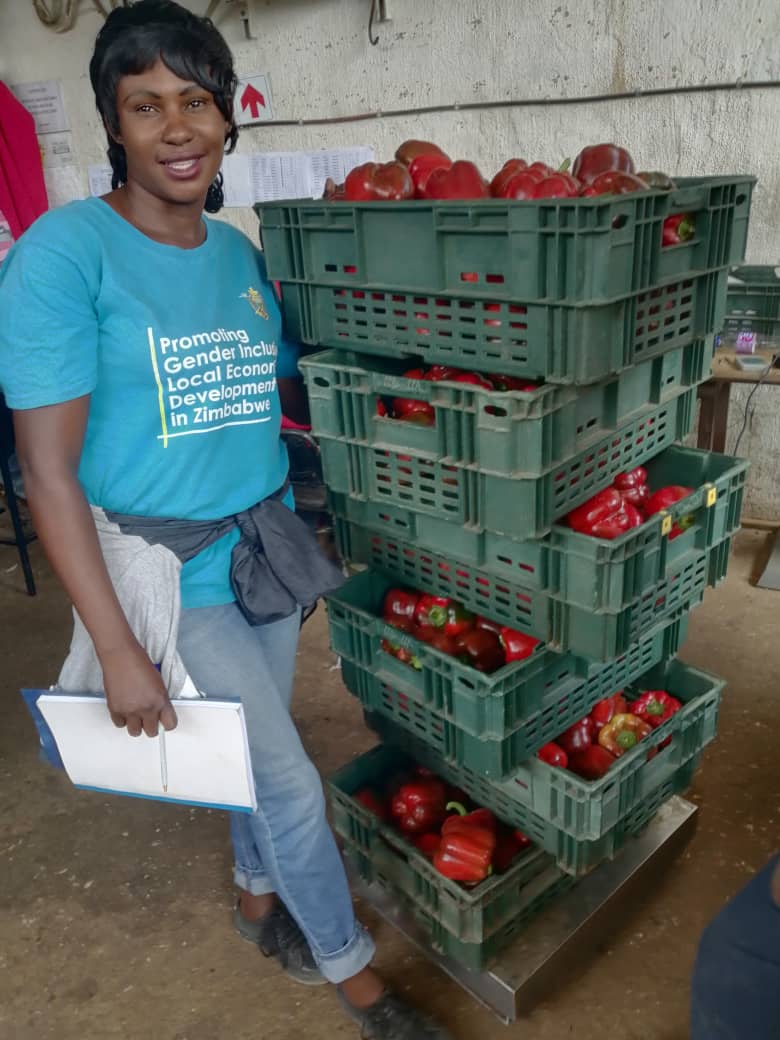 GenderLinks's tweet image. Women in Umguza RDC are breaking barriers in the horticulture value chain. @GenderLinks LED programme, funded by @SwedenInZW, is empowering women to reduce poverty & enhance livelihoods. #PromotingGenderInclusive #LocalEconomicDevelopment @umguzardc @MoLGPWZim