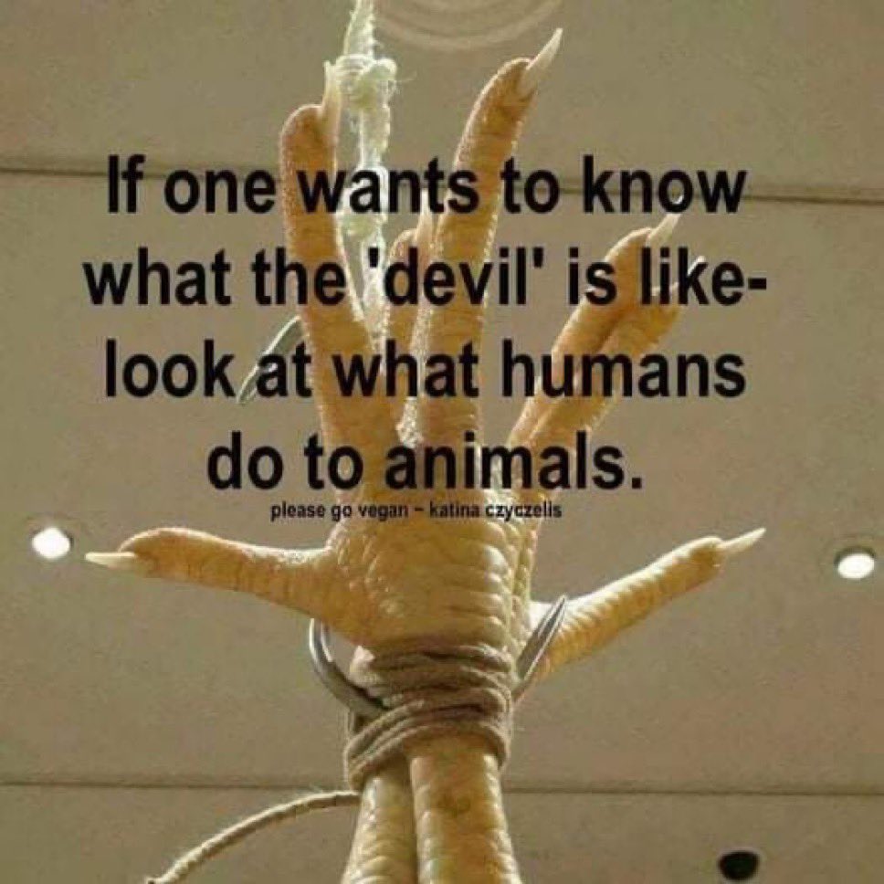 MLeeNYCx's tweet photo. @JohnOberg I gave up #AnimalAg normalized Evil long ago &amp; consider it the best decision I ever made🌱

Being #vegan allows me to live aligned with my most important moral values of Compassion/Mercy/Respect💚 https://t.co/Z7zuxwNEnM