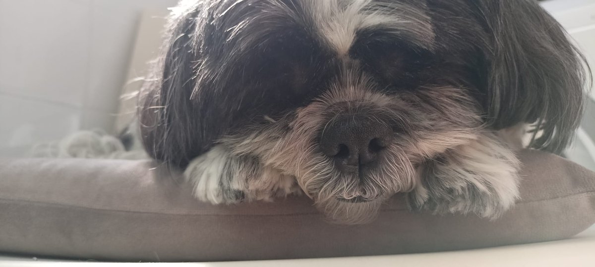 Nuberu kbreau tweet media