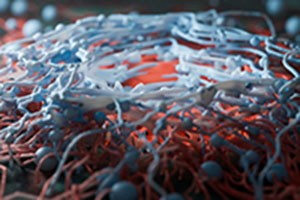 Call for Content: Don't forget to submit to Hereditas' collection 'Three-dimensional (3D) cell culture for cancer research'

Guest Edited by Eduardo López-Urrutia and Mercedes Olvera-Valencia

biomedcentral.com/collections/td…