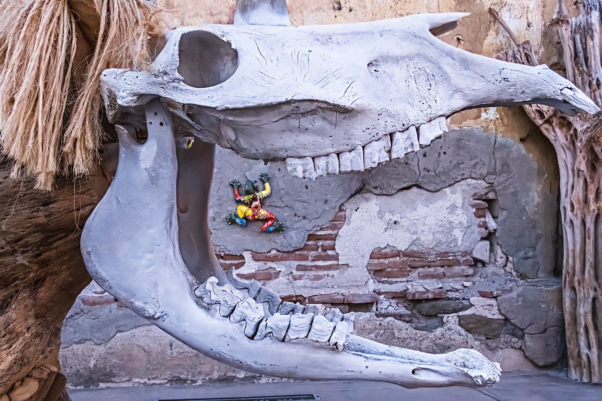 Check out this photo I have for sale of an outdoor art display in Baja Mexico.  1-stuart-litoff.pixels.com/featured/baja-…

#art #display #whimsy #whimsical #mexico #baja #skull #bones #animal #loreto #travel #travelphotography #cityscape #streetphotography