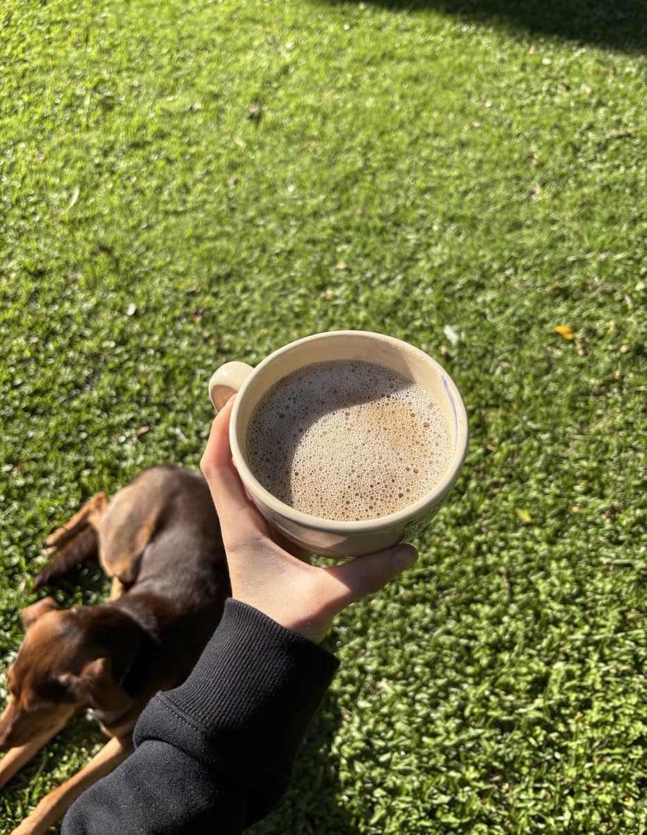 Q lloren los team verano