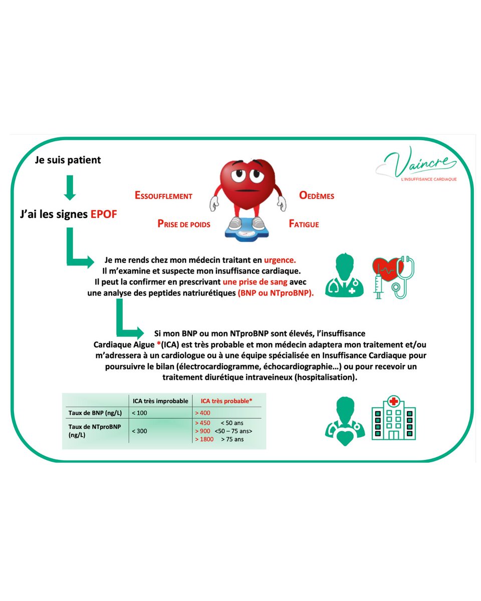 ⚠️ On ne le partagera jamais assez ! 
Reconnaître les premiers signes d'#insuffisancecardiaque : une priorité ! EPOF <a href="/GICC/">ギック</a> 🫀

Vous pouvez la télécharger, l’imprimer .
👉 vaincrelinsuffisancecardiaque.org/jai-epof-essou…