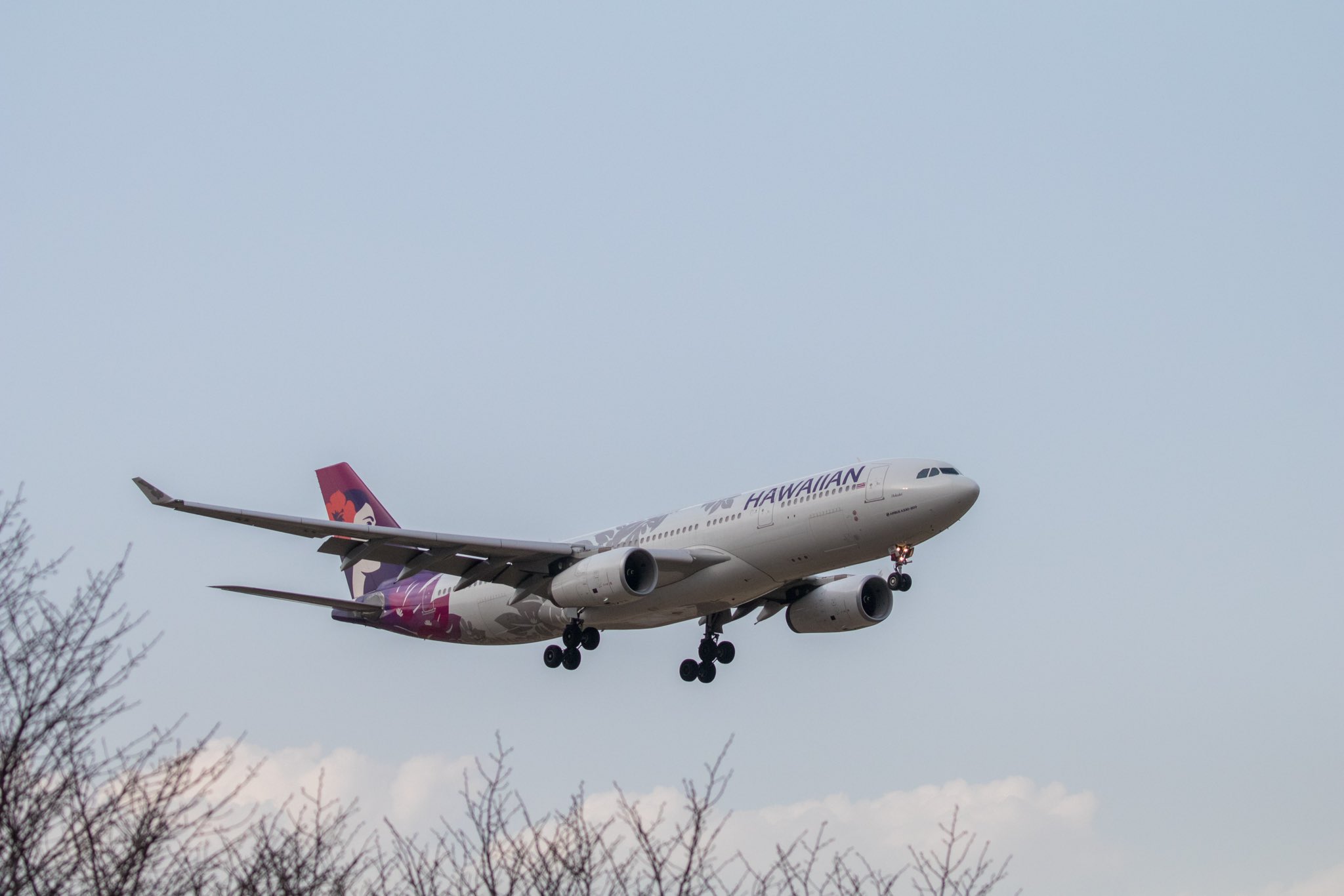 ハワイアン航空 (@HawaiianAirJP) / X ハワイアン航空 (@HawaiianAirJP) / X
