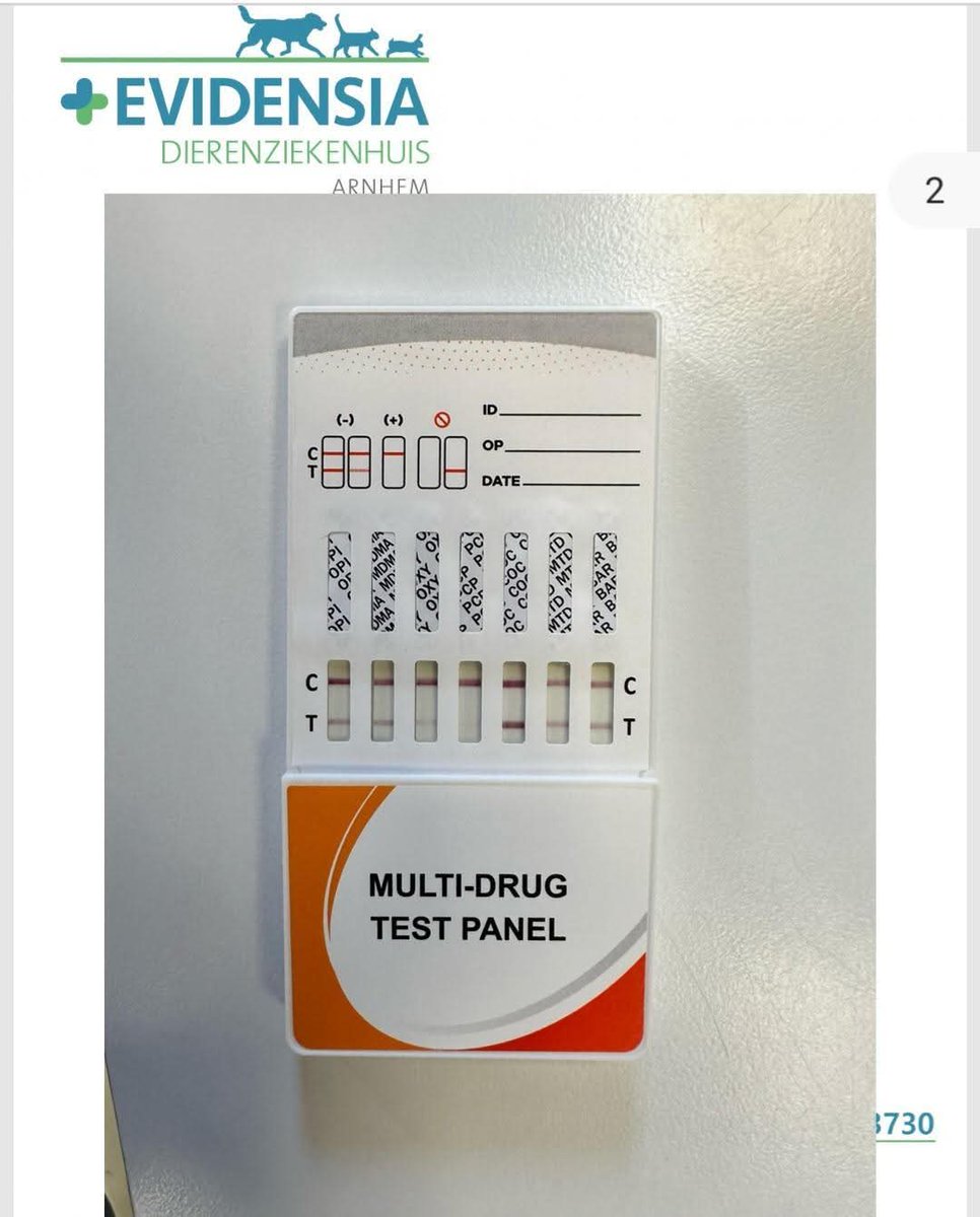 Hondje ziek door Angel Dust in Schalkhaar