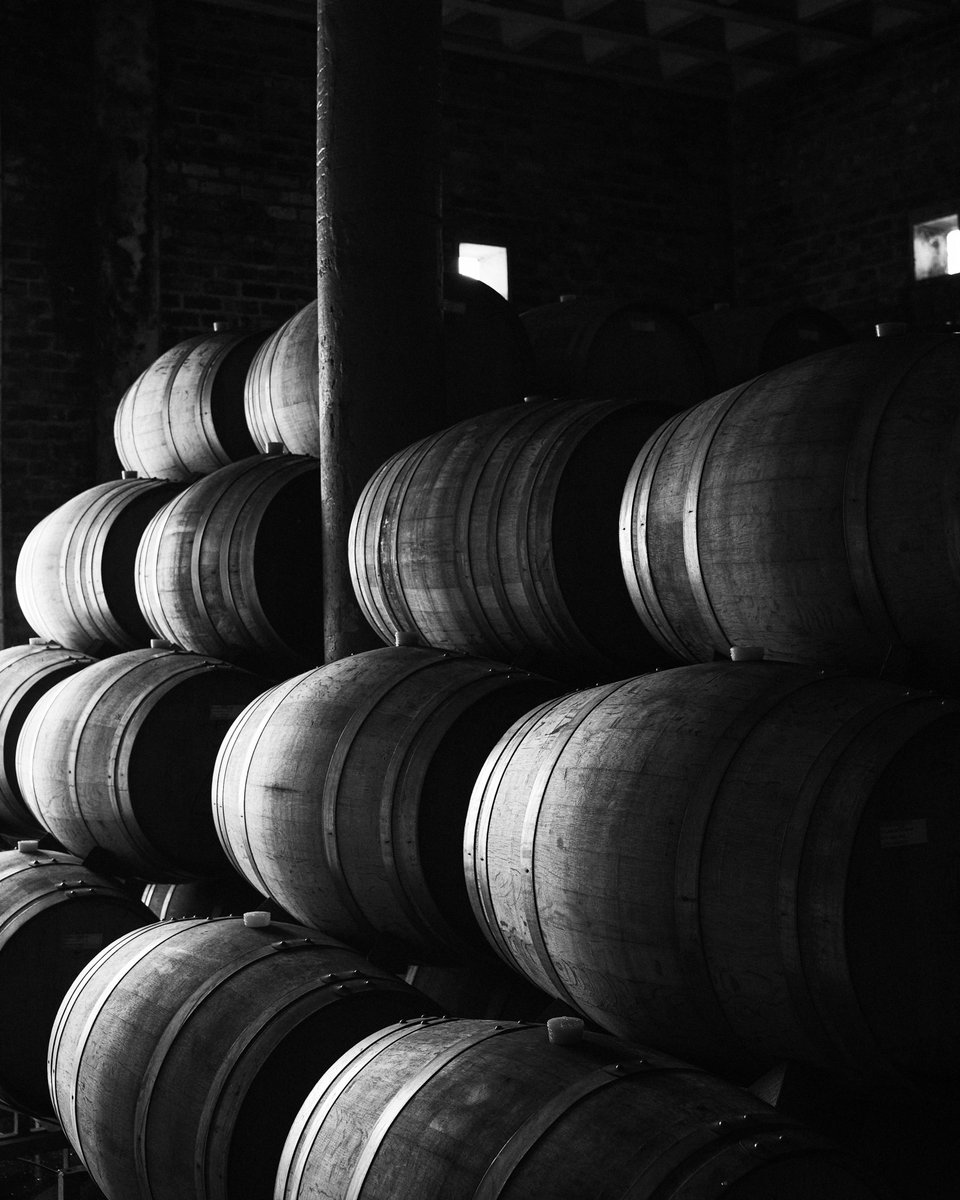 In the quiet embrace of our cellar, history ages to perfection 🍷 Each barrel nurtures the essence of La Vierge, crafting a story of passion and tradition.
#LaViergeWines #BarrelAgedBeauty #PurityAndConviction #HemelEnAardeWines