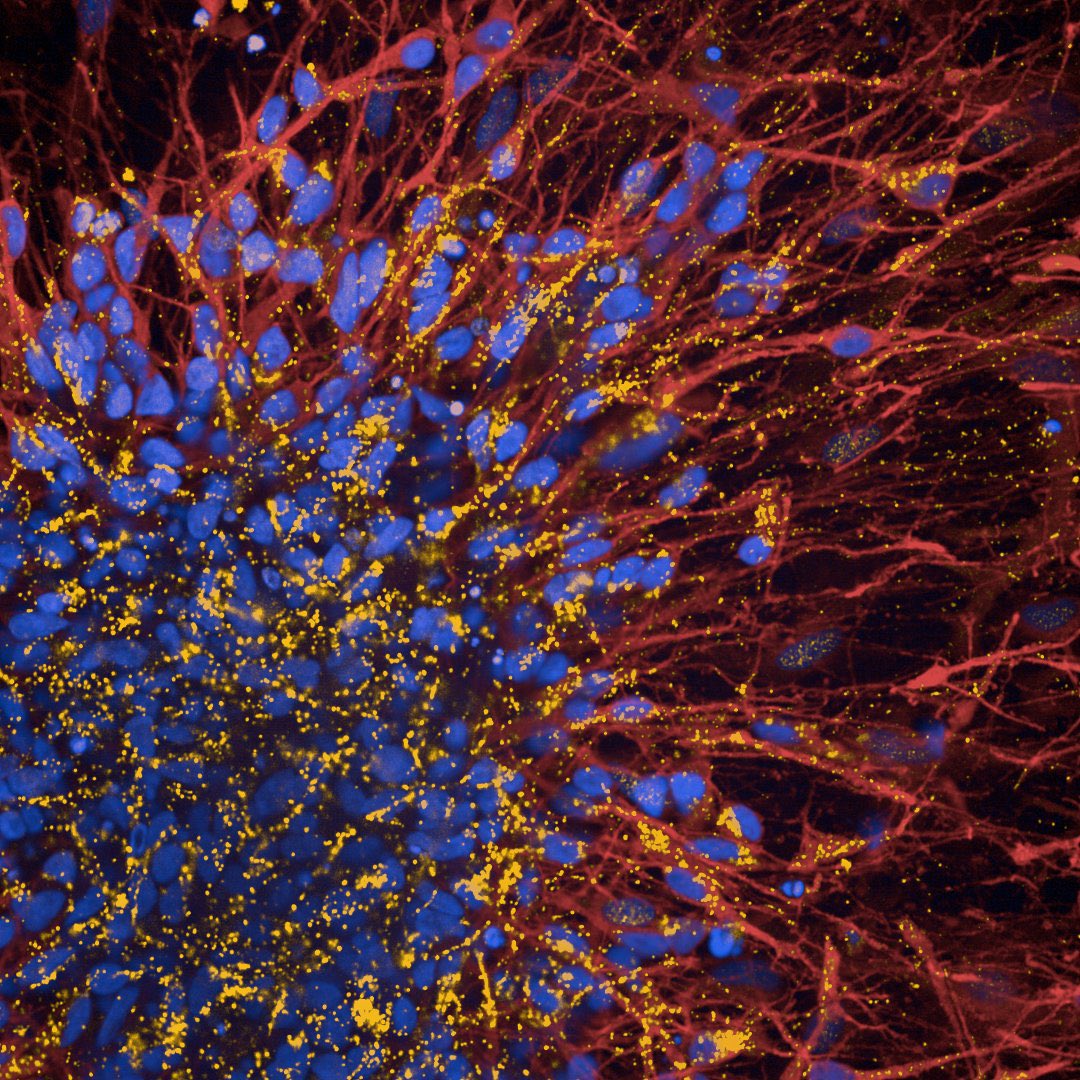 Ajantha Abey tweet media