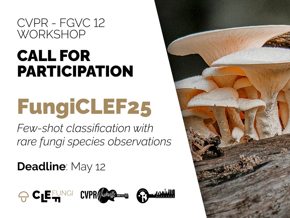 <a href="/CVPR/">#CVPR2025</a> <a href="/kaggle/">Kaggle</a> FungiCLEF25: Few-shot classification with rare fungi species 
👉 kaggle.com/competitions/f…
<a href="/CVPR/">#CVPR2025</a> <a href="/kaggle/">Kaggle</a> 
#FGVC #CVPR #CVPR2025 #LifeCLEF [1/2]