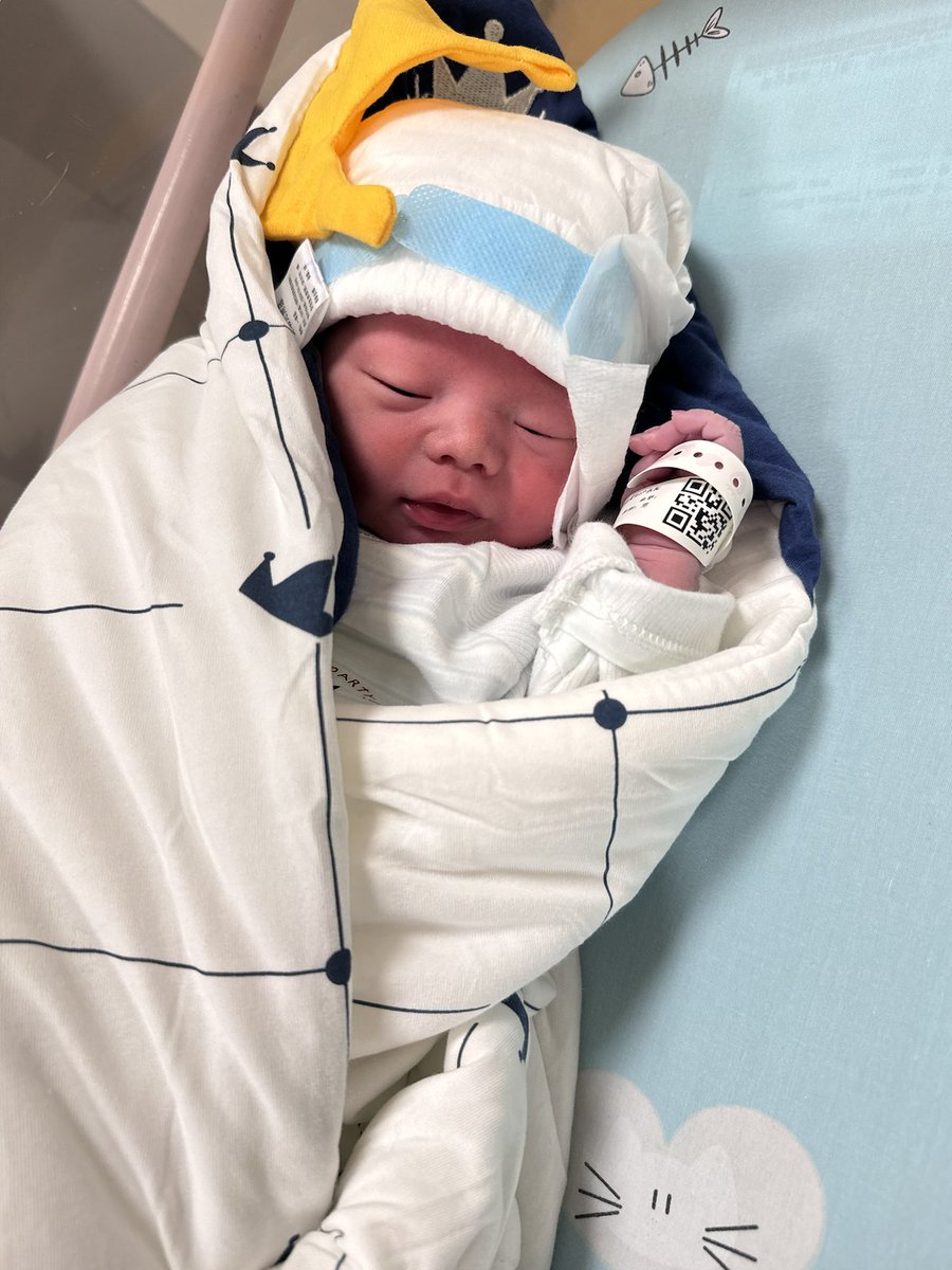 coderdan.base.eth 🟦👻 tweet media