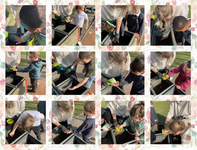 This week, #EastersideHNB have been reading The Tiny Seed. The children then planted their own tiny seeds in the garden planter. They planted sunflowers, carrots, broad beans, apple seeds and some wild flowers.