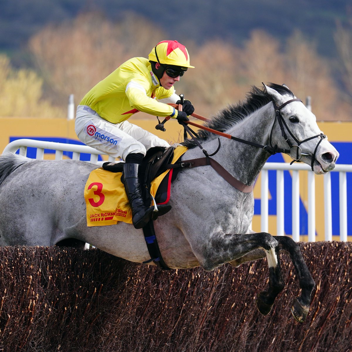 So brave! Caldwell Potter lands the Mildmay Novices' Chase! 💛