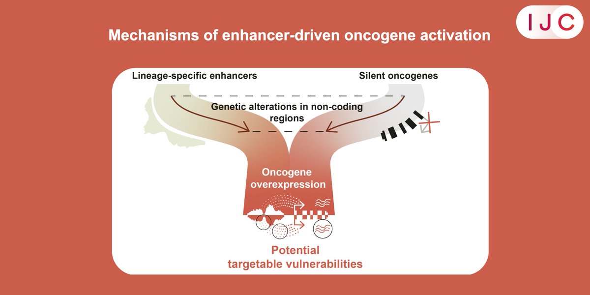 International Journal of Cancer (@intjcanc) on Twitter photo NOW ONLINE!
This review explores how enhancer hijacking drives aggressive #Leukemia through MECOM overexpression, highlighting potential new targets for #CancerTreatments. Also presented as a talk at the IJC Symposium on 14-Jan by <a href="/DelwelRuud/">Ruud Delwel</a>
🔓➡️ doi.org/10.1002/ijc.35…
<a href="/uicc/">Union for International #CancerControl</a> NOW ONLINE!
This review explores how enhancer hijacking drives aggressive #Leukemia through MECOM overexpression, highlighting potential new targets for #CancerTreatments. Also presented as a talk at the IJC Symposium on 14-Jan by <a href="/DelwelRuud/">Ruud Delwel</a>
🔓➡️ doi.org/10.1002/ijc.35…
<a href="/uicc/">Union for International #CancerControl</a>