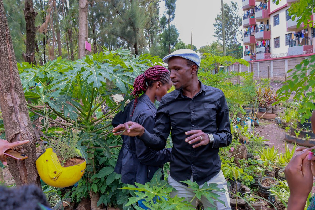 Here’s how they do it.

They started with planting trees. They understood what clean air, shade, and biodiversity mean, especially in urban spaces. They knew the power of trees to transform a place, offering life,hope, and balance in a city that needed it.