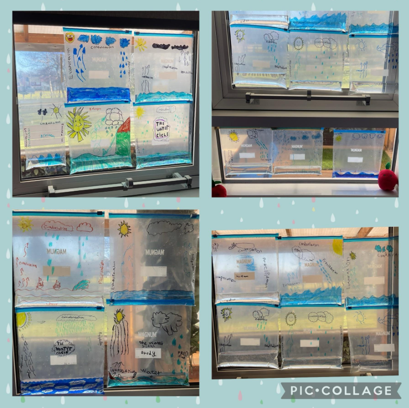 #EastersideYear3and4 are investigating how evaporation, condensation, precipitation and collection all work together to form the Water Cycle. #EastersideScience