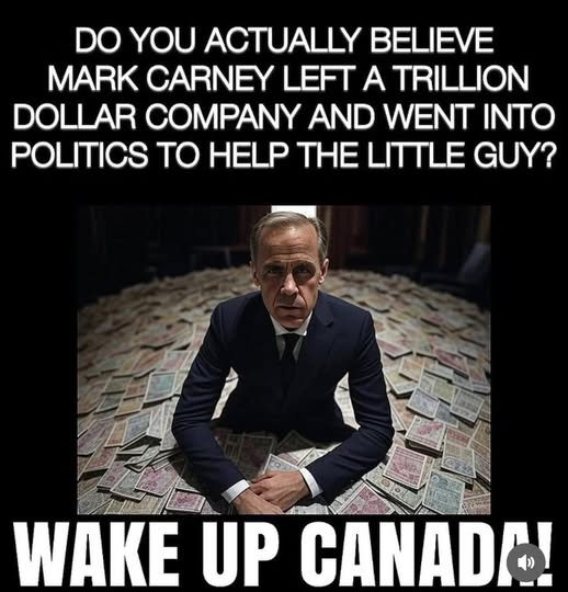 "Do you actually believe Mark Carney left a trillion dollar company and went into politics to help the little guy?"