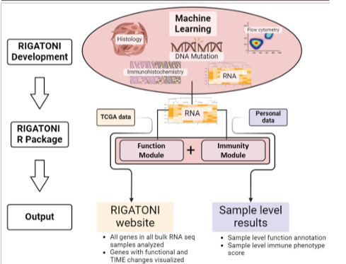Pelotonia Institute for Immuno-Oncology tweet media