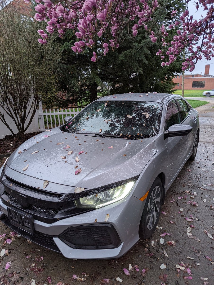 My new baby. She has been christened "Muffin"