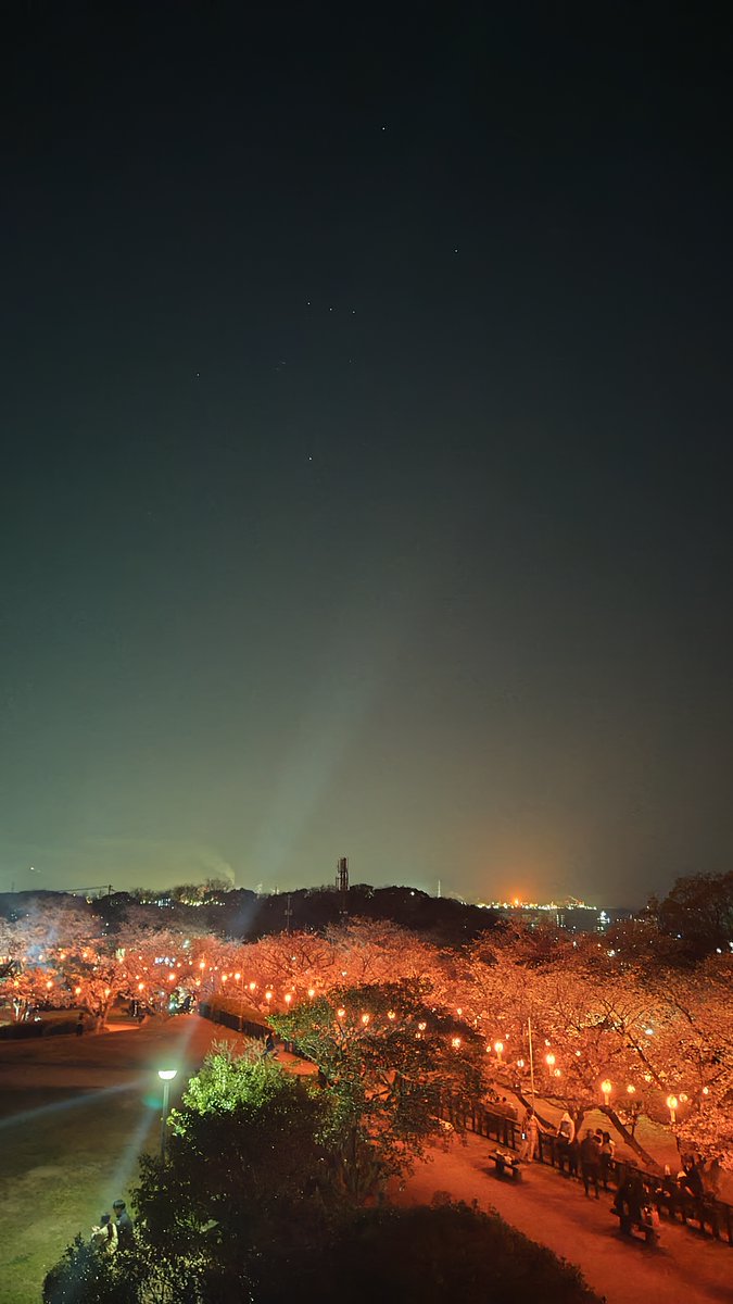 夜桜と夜景とオリオン座