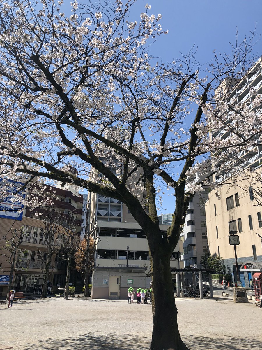 皆さんこんばんは🖐
家の近くの小さな公園で
桜咲いてました😀まだ
満開ではなかったけど
パチリ📸